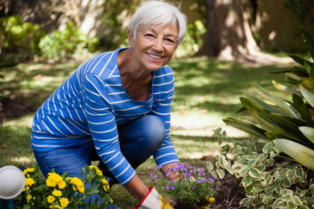 retrato de mujer senior feliz arrodillada mientras plantando flores - planting clothing gray hair human age fotografías e imágenes de stock