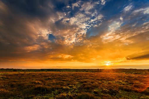 Summer field full of grass and sunset sky above. Beautiful sunset landscape.