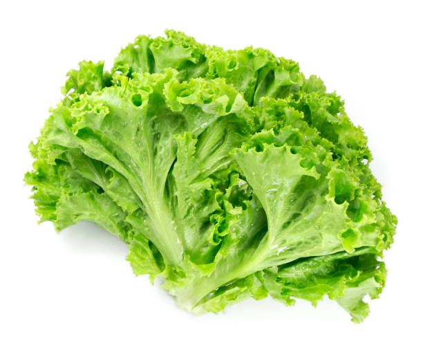 istock Salad leaf. Lettuce isolated on white background. 820408296