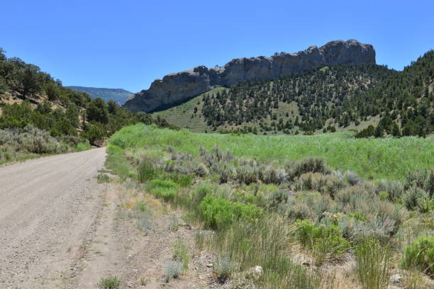istock A gravel track running through Cave lake State Park. 820415976