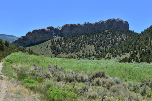 istock Gravel track running through Cave lake State Park. 820416256