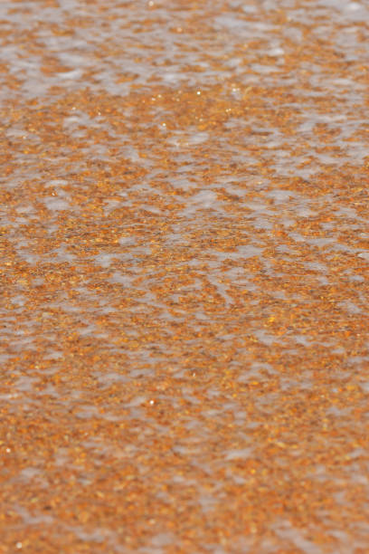istock Clear water with surf foam patches over shell beach sand 820421338