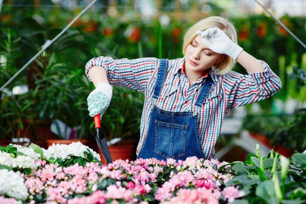 istock Pretty girl with plants 820422084