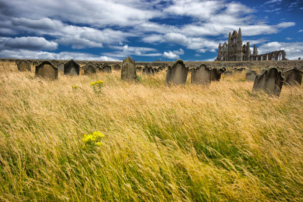 Very old abandoned Jewish cemetery near the village of Trstin, Slovakia