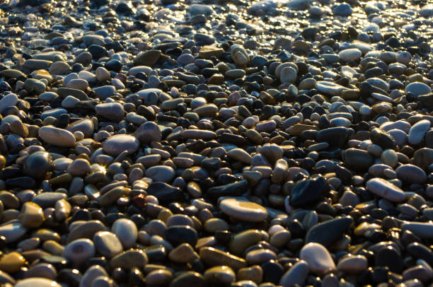 istock sea pebble beach with multicoloured stones, waves with foam 820482876