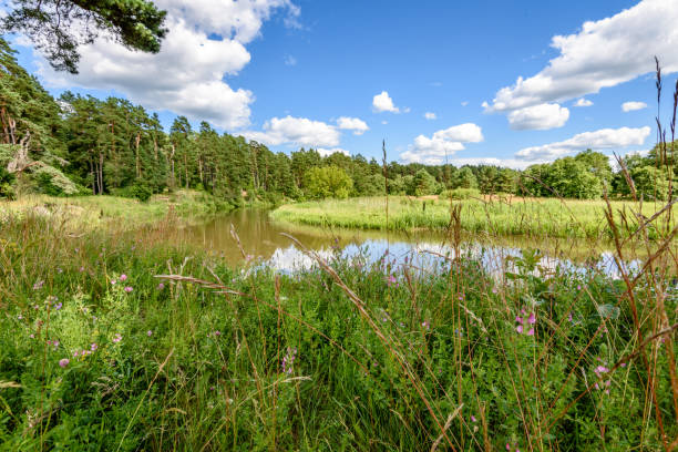istock reflection of clouds in the lake 820485906