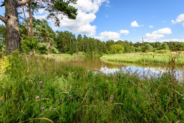 istock reflection of clouds in the lake 820485958