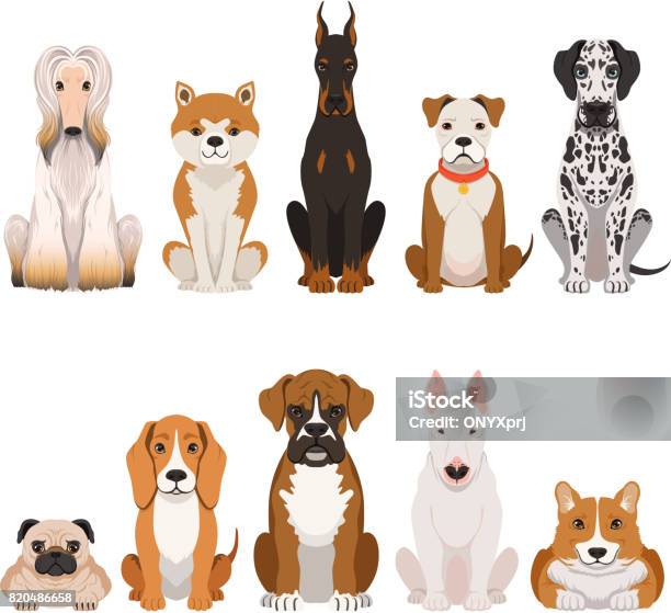 Funny Dogs Illustrations In Cartoon Style Domestic Pets Stock Illustration - Download Image Now