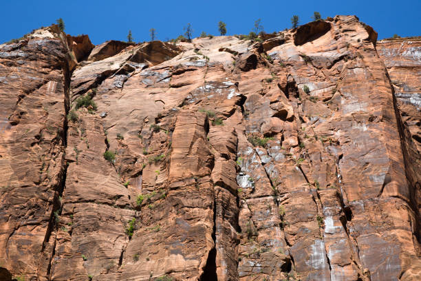 istock Zion Nat'l Park 820487296