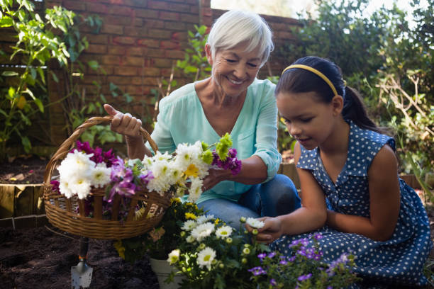 sonriendo la cesta de la flor que lleva altos mujer mirando nieta - family grandmother multi generation family nature fotografías e imágenes de stock