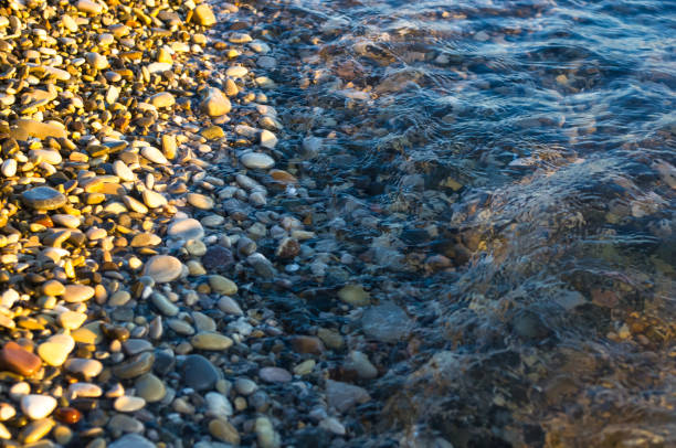 istock sea pebble beach with multicoloured stones, waves with foam 820498212