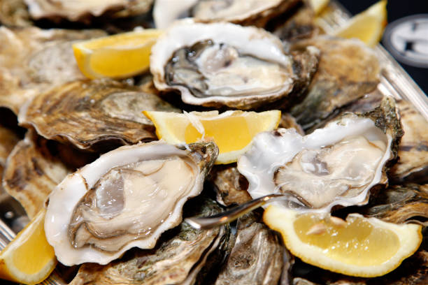 Platter of Oysters stock photo