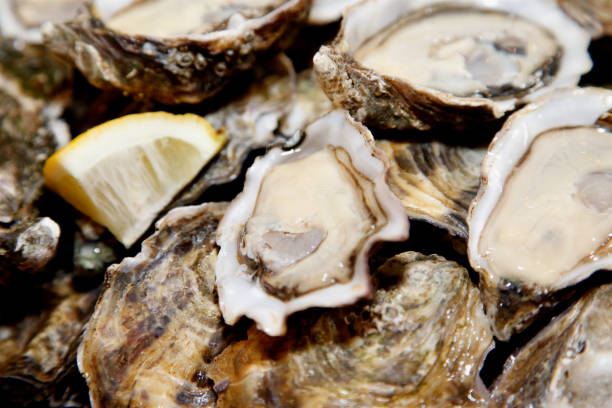 istock Platter of Oysters 820498912