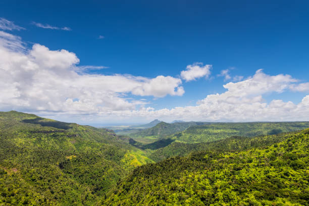istock Black River Gorges National Park 820512060