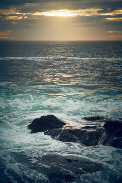 istock Let the sea set you free 820525848