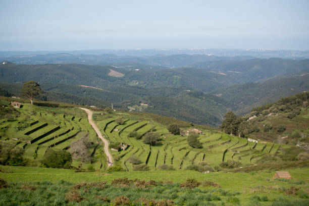istock PORTUGAL ALGARVE SIERRE DA MONCHIQUE 820541984