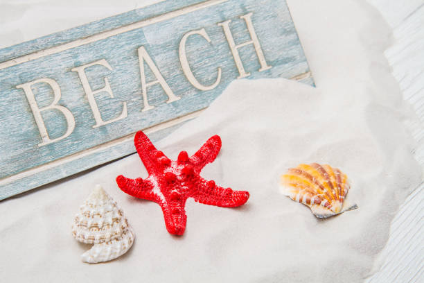 istock starfish and seashell with sea background 820570616