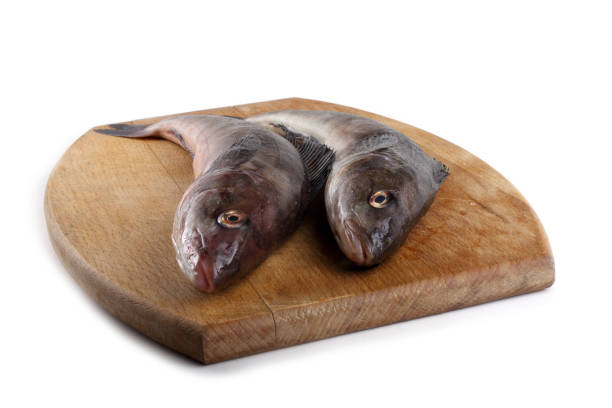istock Sea bass 820574294
