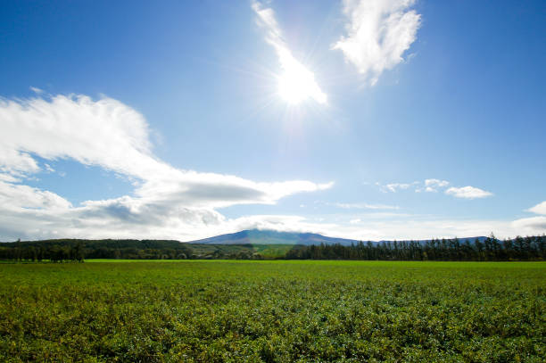 Mount Syari and Farm in Autumn, Eastern Hokkaido, Japan Mount Syari and Farm in Autumn, Eastern Hokkaido, Japan shiretoko mountains stock pictures, royalty-free photos & images