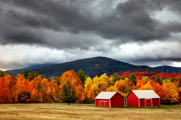 秋の adirondacks - adirondack mountains ストックフォトと画像