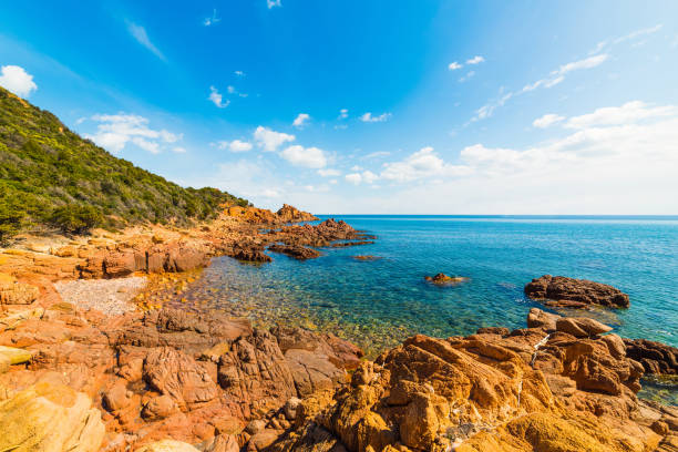 istock Rocky shore in Su Sirboni 820588056