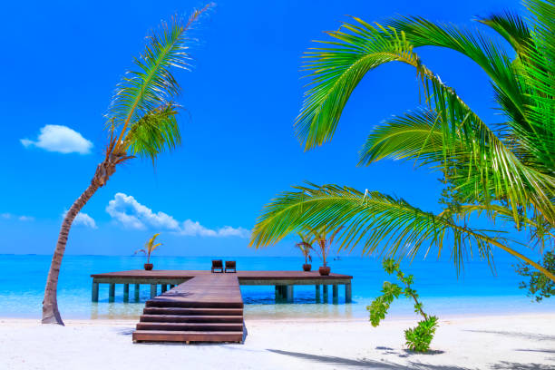 istock Dreamscape Escape On Maldives 820608956