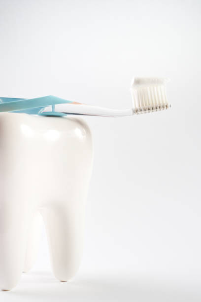 istock Toothbrush with toothpaste on white healthy ceramic tooth model isolated on white. Dental hygiene and care 820612628