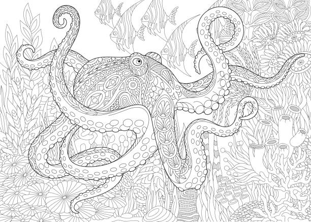Octopus and tropical fish Composition of octopus, tropical fish and underwater seaweed. Freehand sketch for adult coloring book page. coloring illustrations stock illustrations