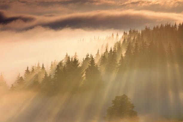 istock Beautiful mountain foggy sunrise 820629104