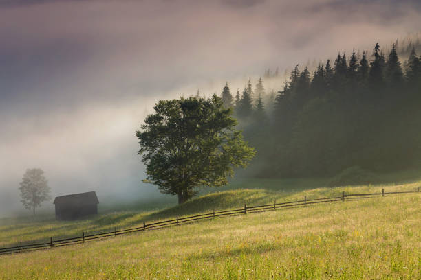 istock Beautiful mountain sunrise 820633924