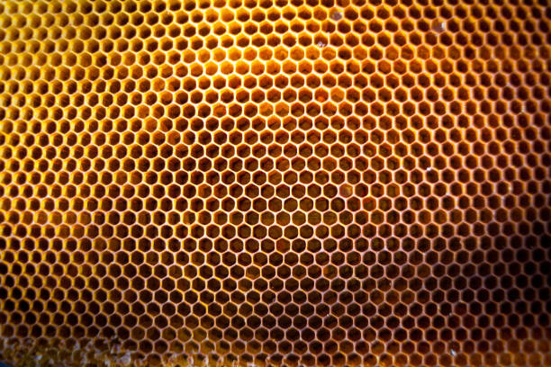 istock Background texture and pattern of a section of wax honeycomb 820634872