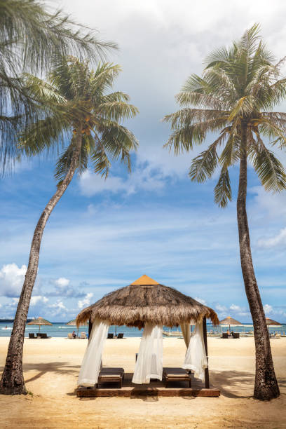 traditionnel arbre paille de parasol et des palmiers en belle plage et ciel nuageux - horizon over water white green blue photos et images de collection