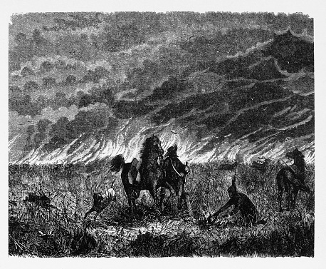 Beautifully Illustrated Antique Engraved Victorian Illustration of American Indians and Poineer Starting Wildfire for Hunting Engraving, 1867. Source: Original edition from my own archives. Copyright has expired on this artwork. Digitally restored.