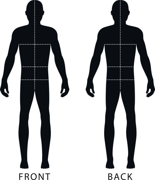110+ Man Standing With Hands On His Hips Silhouette Stock Illustrations ...