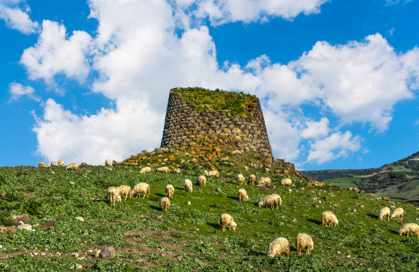 mandria di pecore da un nuraghe in sardegna - nuragic foto e immagini stock