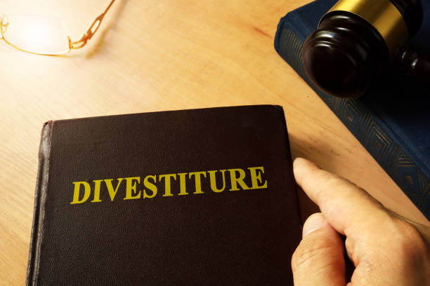 istock Book with title divestiture and gavel. 820696748