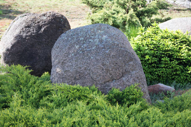istock Gray two stones boulders on a green grass 820712174