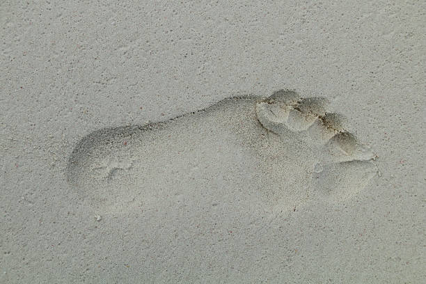 istock Trace from foot on the beach sand on the beach 820717418