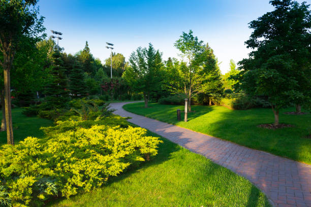 istock park, surrounded by a green landscape with footpath and trees 820718526