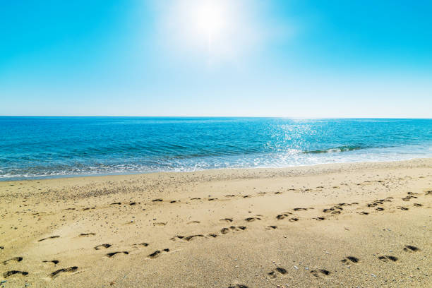 istock Sun shining over the sea 820719960