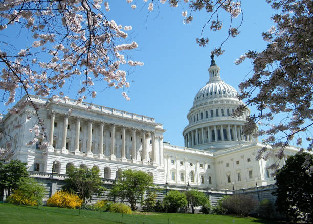 istock Washington Capitol April 2010 820721378
