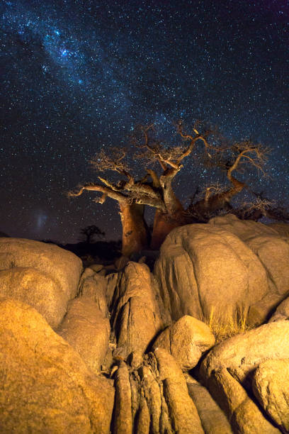 istock Rocks baobab trees and the milkyway 820731200