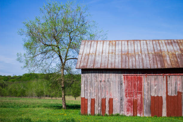 istock Organic farming methods for fresh produce with rustic old barn in spring with copy space. 820731488