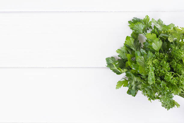 istock parsley, dill, celery, thyme, marjoram lovage tarragon sage 820733816