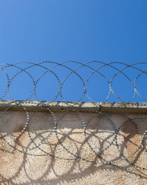 istock barbed fence  for protection purposes 820734870