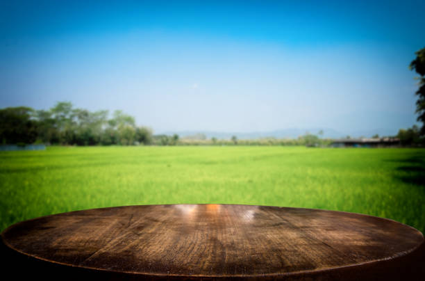 istock Selected focus empty brown wooden table and cornfield or meadow blur background with bokeh image. for your photomontage or product display. 820741146