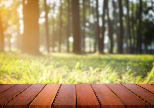 istock Selected focus empty wooden table and view of green forest blur background with bokeh image. for your photomontage or product display. 820741244