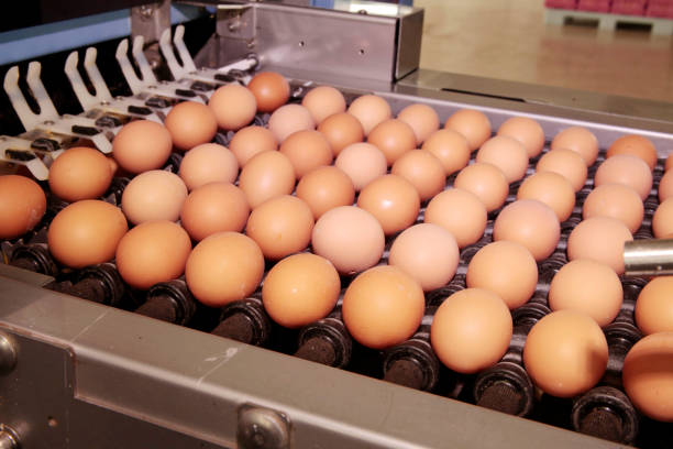 istock Eggs from chicken farm in the package 820746618
