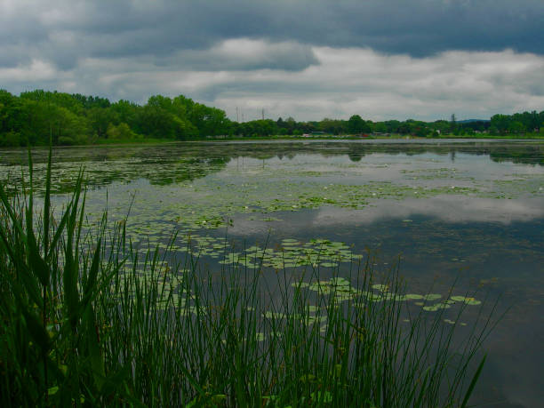 summer mohawk river glenville - mohawk river imagens e fotografias de stock