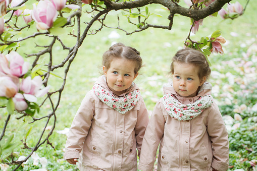 Two little pretty identical twin girls standing together under magnolia tree in a springtime smiling in Zurich